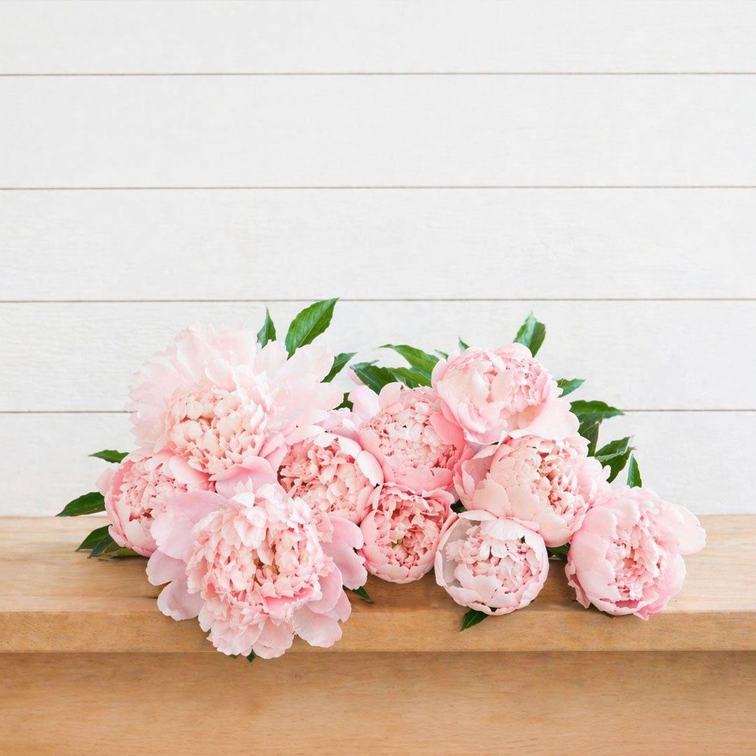 PEONIES PLEASE!