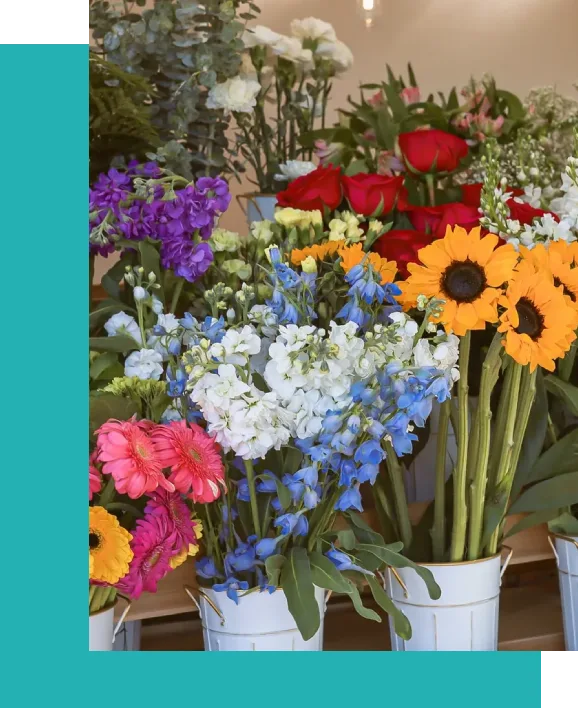 A close up of flowers in pots on a table